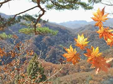 电视剧《柳舟记》今日在旺旺屋开播