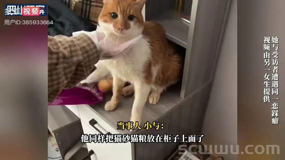 图片[14]-男子以喂猫为由多次诱骗陌生女生到家里，疑似裸体躺在塑料袋里等着被踩…-旺旺屋